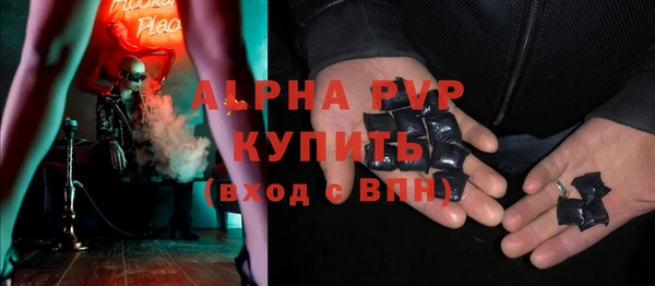 индика Осташков