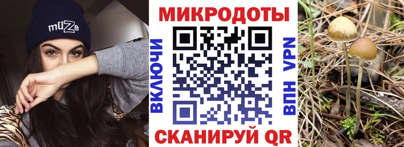 где купить наркоту  Кировград  Псилоцибиновые грибы GOLDEN TEACHER 