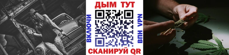 где найти наркотики  Кировград  Марихуана планчик 